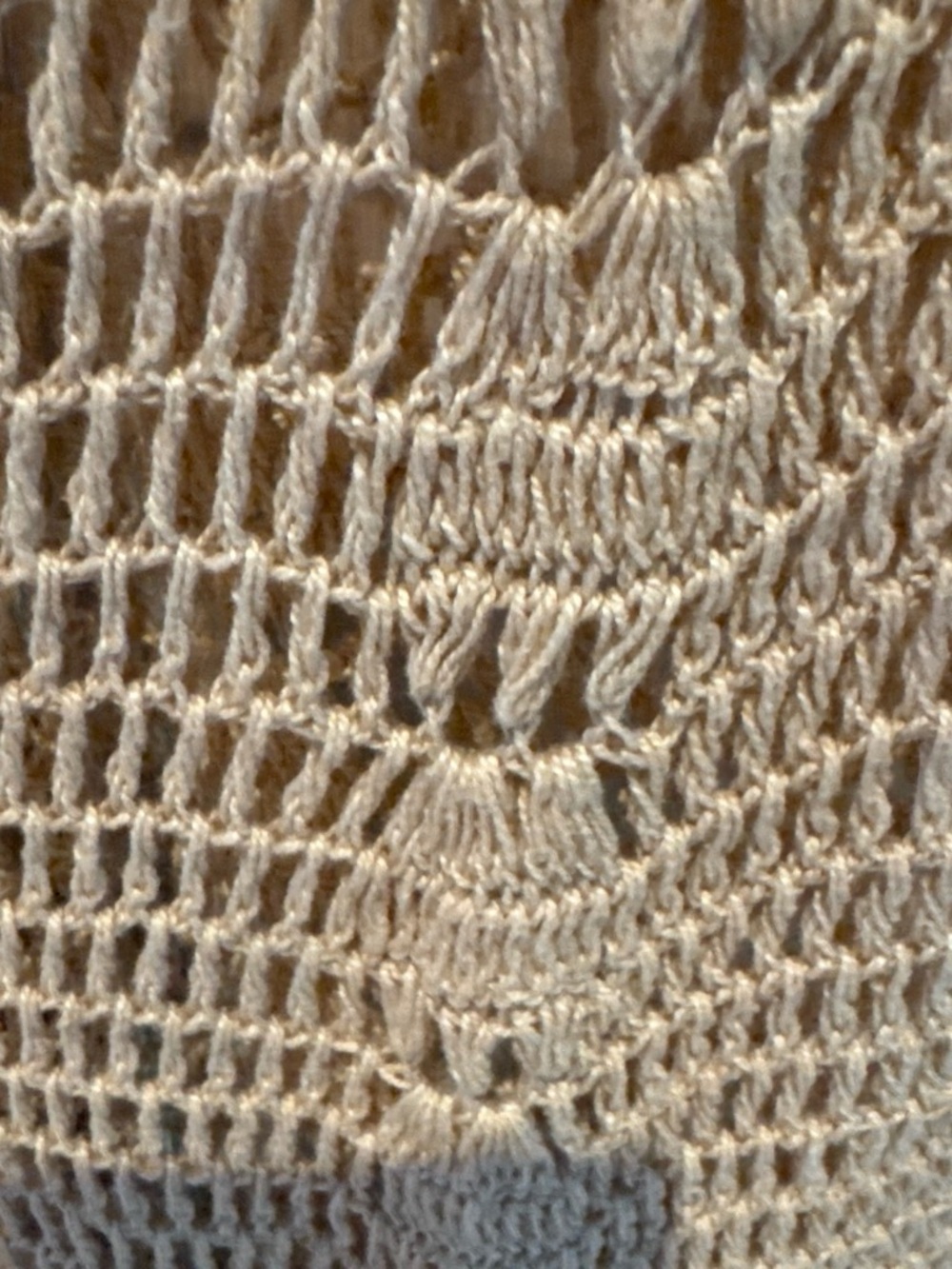 LPA Crochet Tassel Waist Cream Shorts - Picture 3 of 4